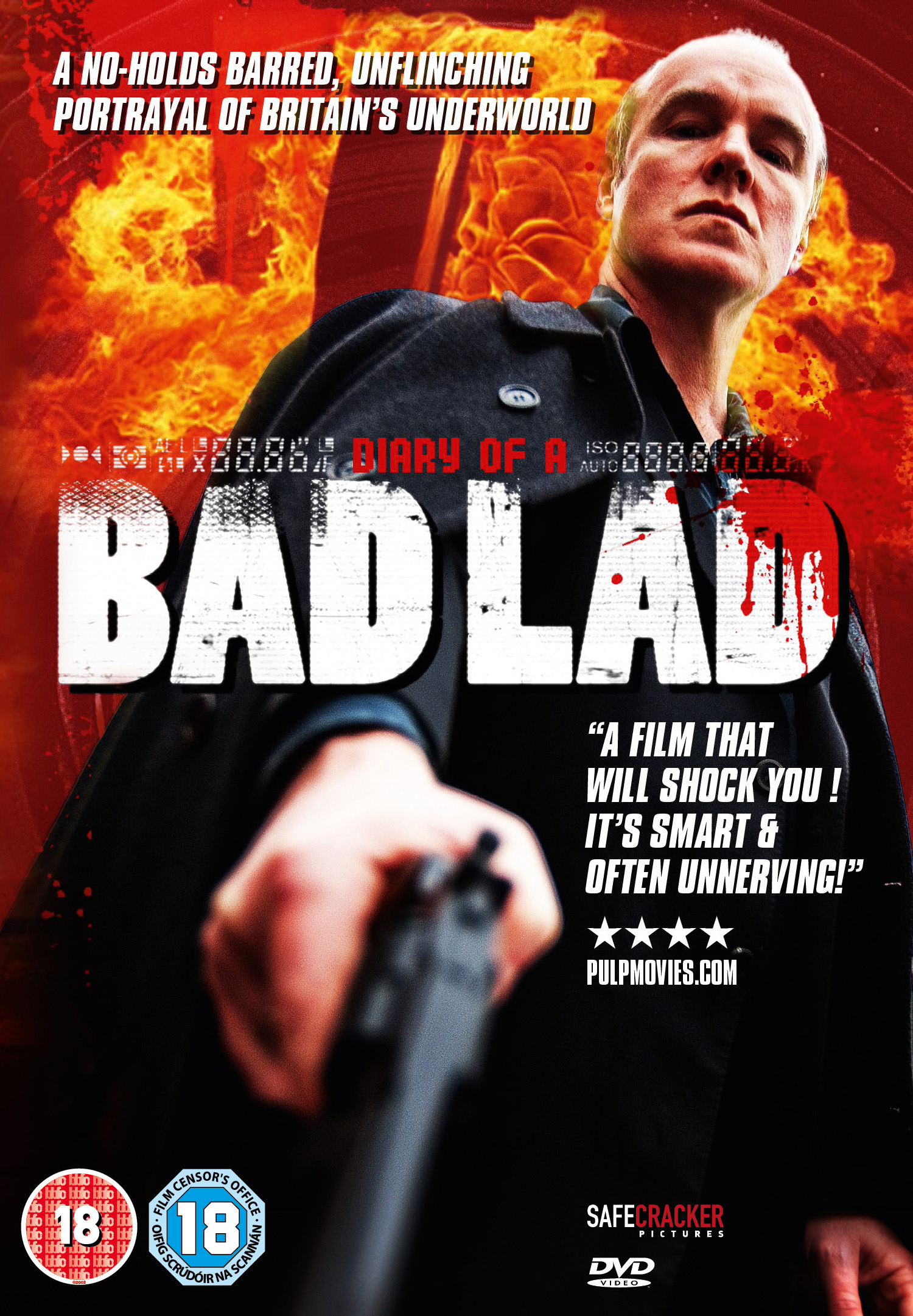 Diary of a Bad Lad movie